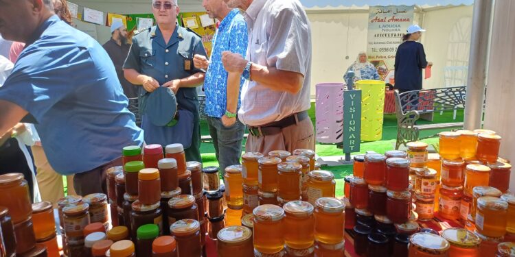 Une vingtaine d'exposants à la première Foire des produits agricoles du terroir à Azeffoun
