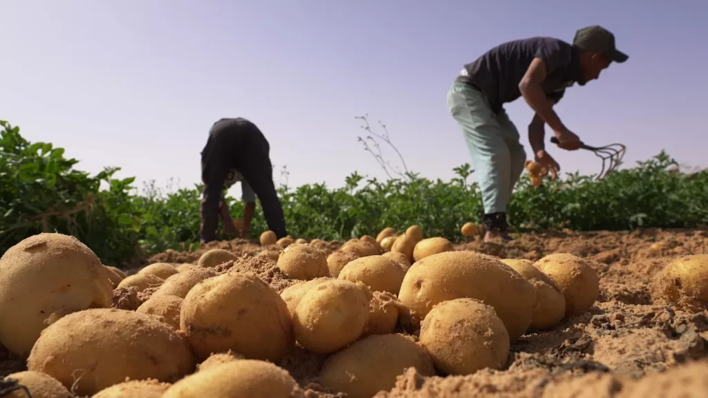 La formation dans le secteur agricole : Les conditions d'un nouvel essor