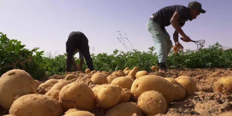 La formation dans le secteur agricole : Les conditions d'un nouvel essor