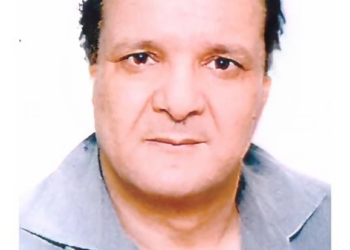 Lies Hamidi. Docteur en droit