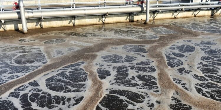 La STEP de Béchar : Un projet d'envergure en matière de la protection de l'environnement