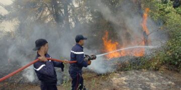 Incendies à Tizi-Ouzou : Plusieurs foyers éteints, le dispositif de lutte maintenu
