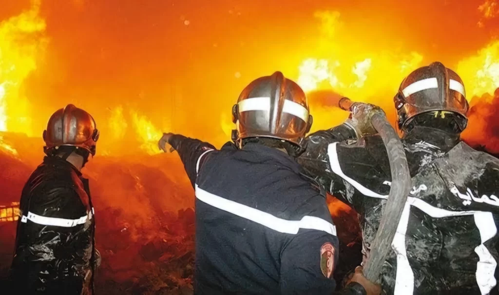 La plupart des incendies de forêt maitrisés en 48 h à travers le pays : La stratégie de l’Etat a payé