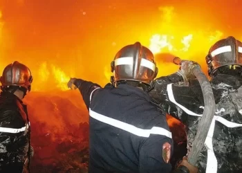 La plupart des incendies de forêt maitrisés en 48 h à travers le pays : La stratégie de l’Etat a payé