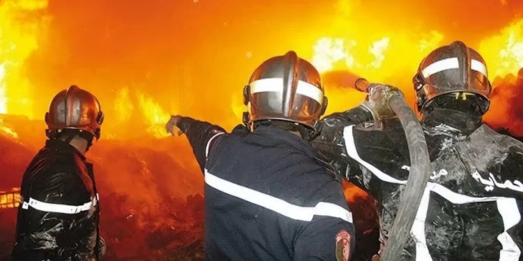 La plupart des incendies de forêt maitrisés en 48 h à travers le pays : La stratégie de l’Etat a payé