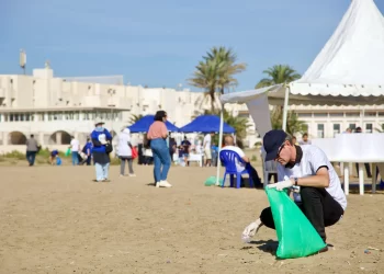 Environnement, une cause nationale