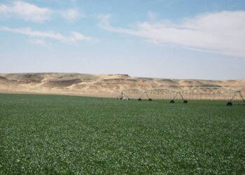 Le secteur agricole en pleine expansion