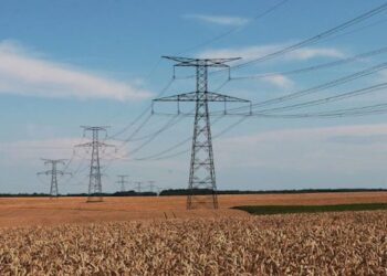 Mascara : Raccordement de 940 exploitations agricoles au réseau d'électricité