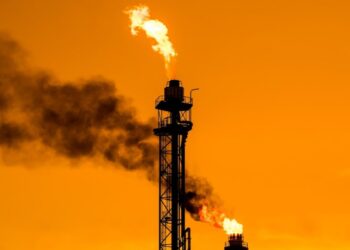 Face aux nouvelles mutations énergétiques mondiales : Quelle stratégie pour les pays producteurs de pétrole OPEP+ et du cartel du gaz- FPEG