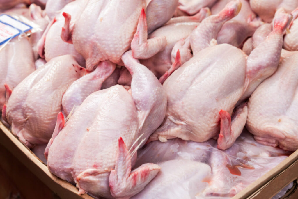Viandes blanches : Déstockage de quantités importantes pour stabiliser les prix