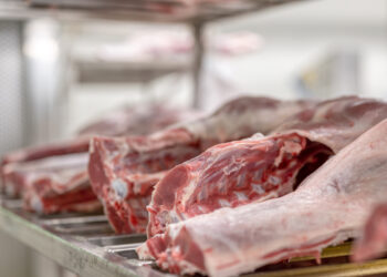 Constantine : Commercialisation de plus de 70 tonnes de viandes blanches et rouges importées