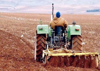 La campagne labours-semailles dès le 1er octobre prochain : Tous les moyens mobilisés