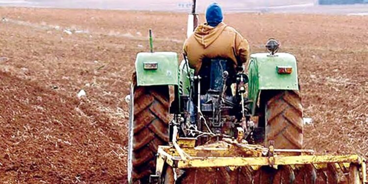 La campagne labours-semailles dès le 1er octobre prochain : Tous les moyens mobilisés