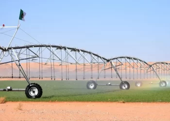 Un projet qatari d'investissement à El Meniaâ