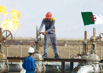 Hydrocarbures algériens : Engouement croissant des investisseurs