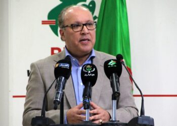 Le secrétaire général du Rassemblement national démocratique (RND), Mustapha Yahi