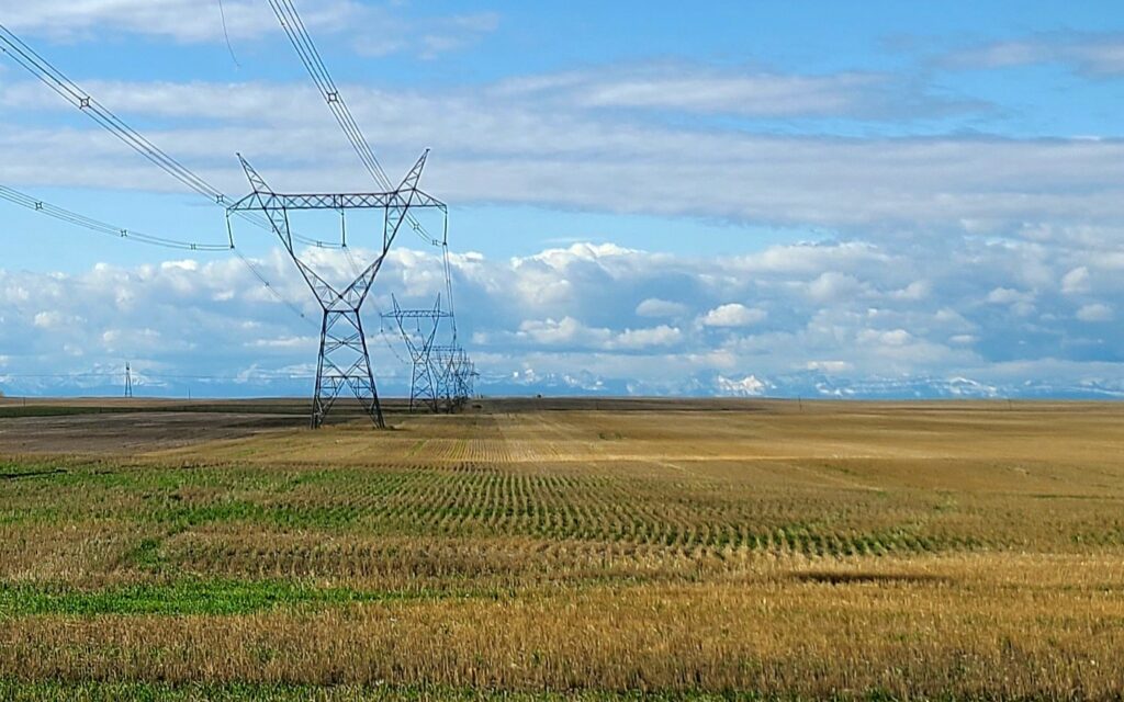 El Bayadh : Plus de 1.900 exploitations agricoles raccordées au réseau électrique
