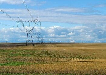 El Bayadh : Plus de 1.900 exploitations agricoles raccordées au réseau électrique