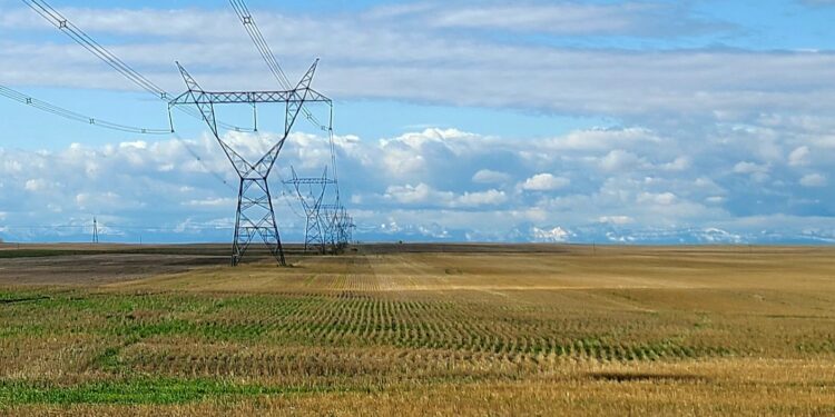 El Bayadh : Plus de 1.900 exploitations agricoles raccordées au réseau électrique