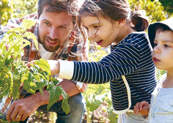 Protection de la forêt et de l’environnement : Pour une nouvelle pédagogie de la sensibilisation