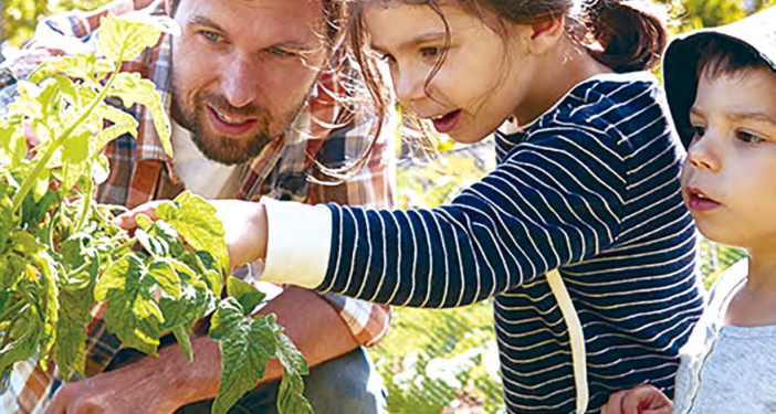 Protection de la forêt et de l’environnement : Pour une nouvelle pédagogie de la sensibilisation