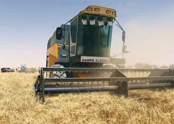 El-Meniâa : Partenariat algéro-saoudien dans la mise en valeur agricole, une expérience novatrice