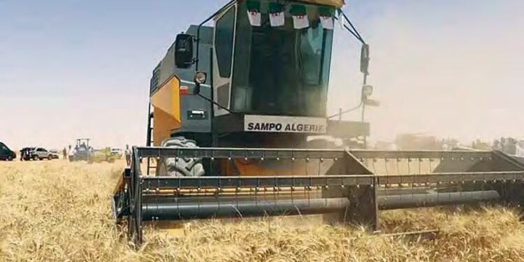 El-Meniâa : Partenariat algéro-saoudien dans la mise en valeur agricole, une expérience novatrice