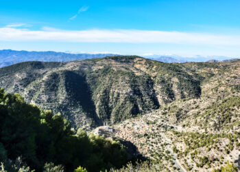 Gestion intégrée des forêts : Projet conjoint entre l’ONEDD et la «FAO» à Bordj Bou Arreridj et Béjaia