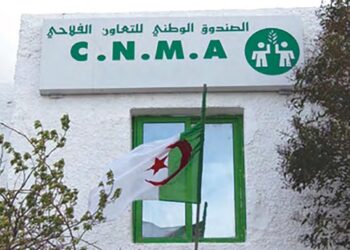 Assurance et gestion des risques : La CNMA propose ses solutions aux entreprises