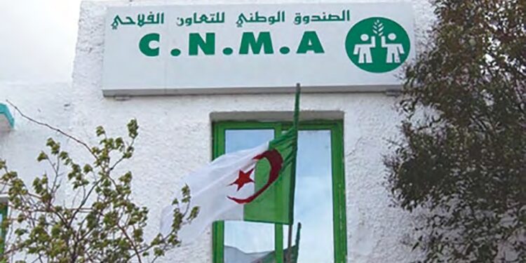 Assurance et gestion des risques : La CNMA propose ses solutions aux entreprises