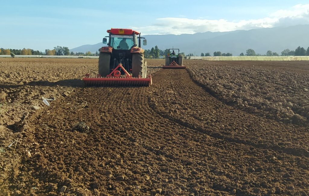 Relizane : La campagne labours-semailles cible plus de 120.000 hectares