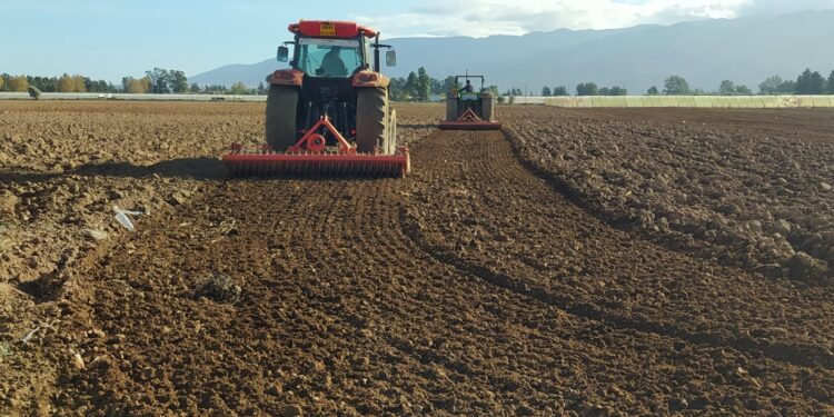 Relizane : La campagne labours-semailles cible plus de 120.000 hectares