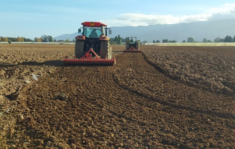 Relizane : La campagne labours-semailles cible plus de 120.000 hectares