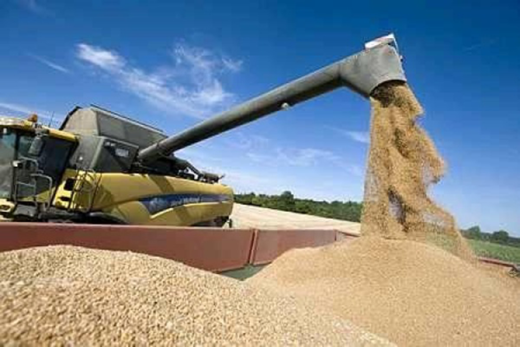 Céréaliculture : Pourquoi l’autosuffisance est réalisable