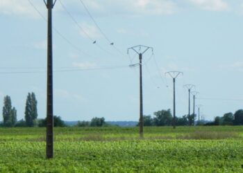 40 742 exploitations agricoles raccordées à l'électricité depuis 2020