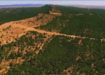 Projet de réhabilitation du Barrage vert : Début des travaux de réalisation de la 2ème partie