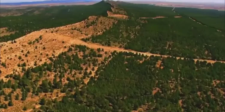 Projet de réhabilitation du Barrage vert : Début des travaux de réalisation de la 2ème partie