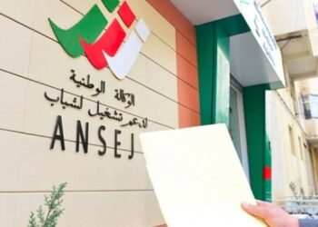 Assainissement des dossiers de l’ex Ansej : Transfert des créances irrécouvrables vers le Trésor