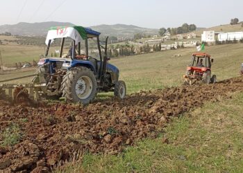 Médéa : Des dispositions pour la réussite de la campagne labours-semailles