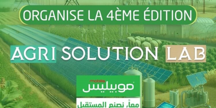 Agriculture saharienne : 40 participants au concours d’innovation de l'ENSA
