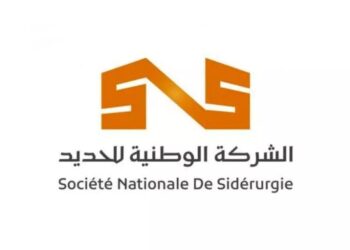 Le groupe IMETAL rebaptisé Société nationale de Sidérurgie