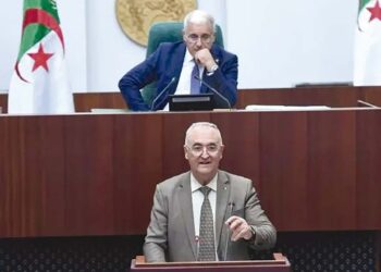 Vote de la loi de finances à l'Assemblée populaire nationale