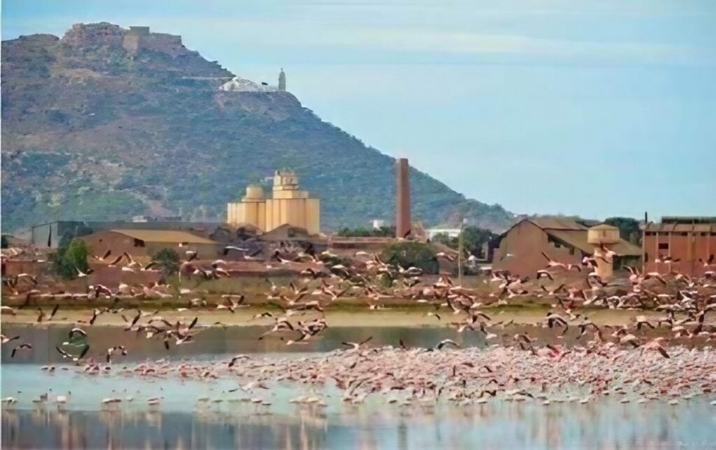 Oran : Aménagement du lac Dhayet Morsli en village scientifique