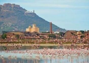 Oran : Aménagement du lac Dhayet Morsli en village scientifique