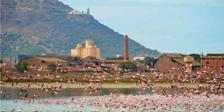 Oran : Aménagement du lac Dhayet Morsli en village scientifique