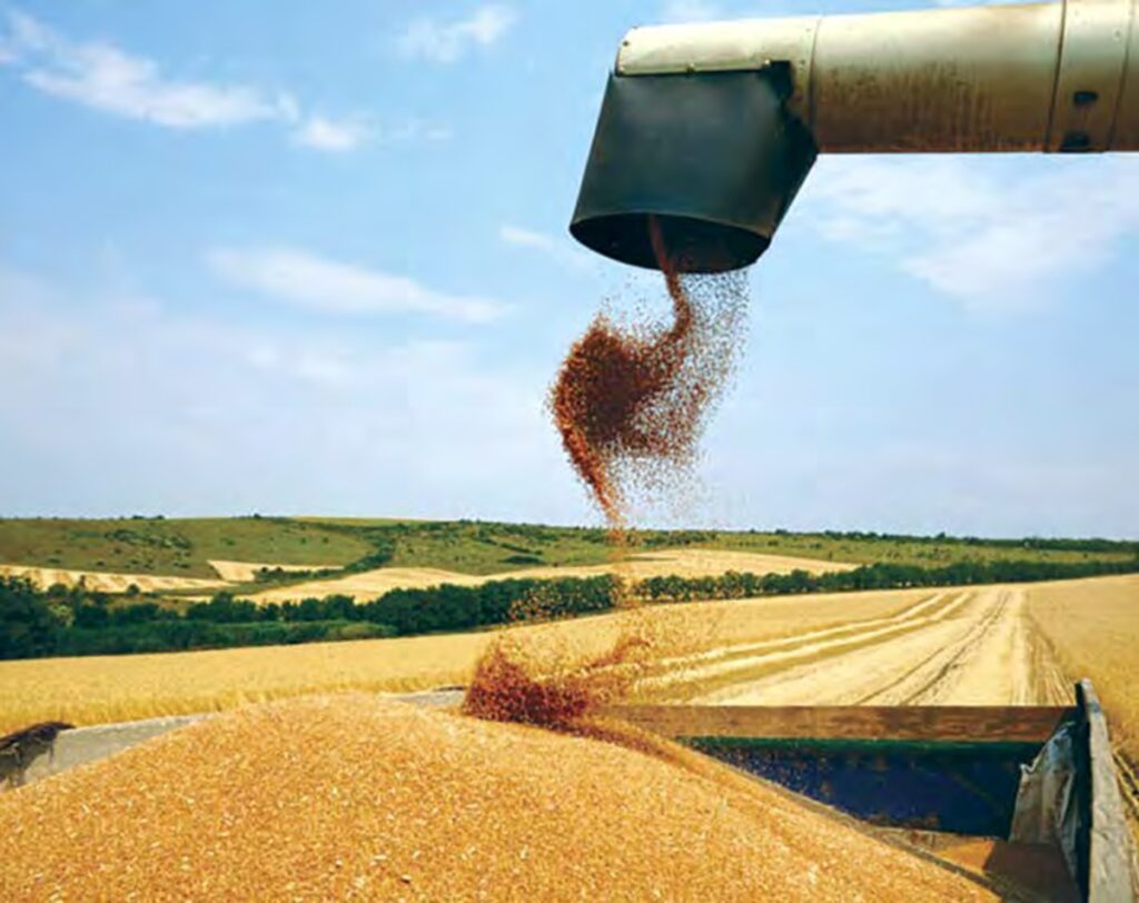 Les matières premières agricoles sous pression en novembre : Quelles perspectives pour décembre ?