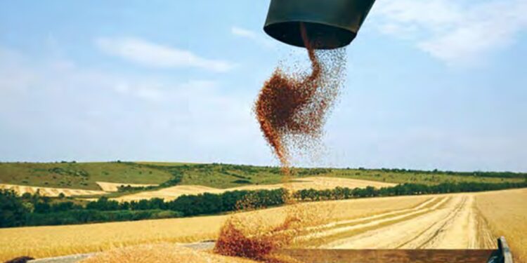 Les matières premières agricoles sous pression en novembre : Quelles perspectives pour décembre ?