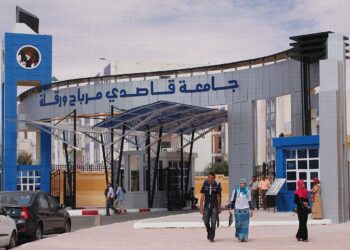 Des promus de l’université de Ouargla présentent leurs micro-entreprises et startups