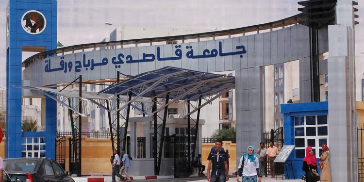 Des promus de l’université de Ouargla présentent leurs micro-entreprises et startups
