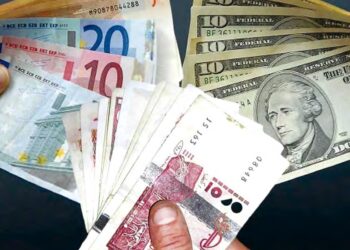 Revalorisation de l’allocation devises Permettra-t-elle de diminuer le cours sur le marché parallèle ?